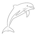 Dolphin Coloring Page – Delphinidae