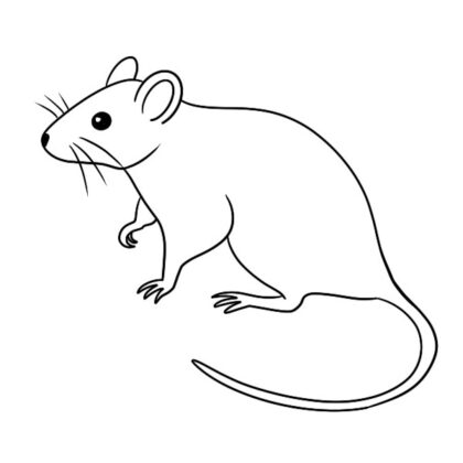 Mouse Coloring Book