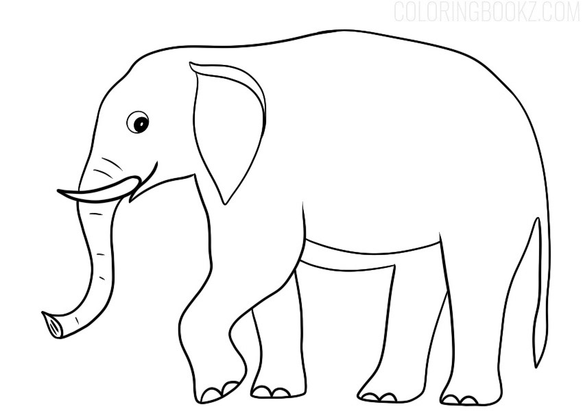 Free Printable Elephant Coloring Page